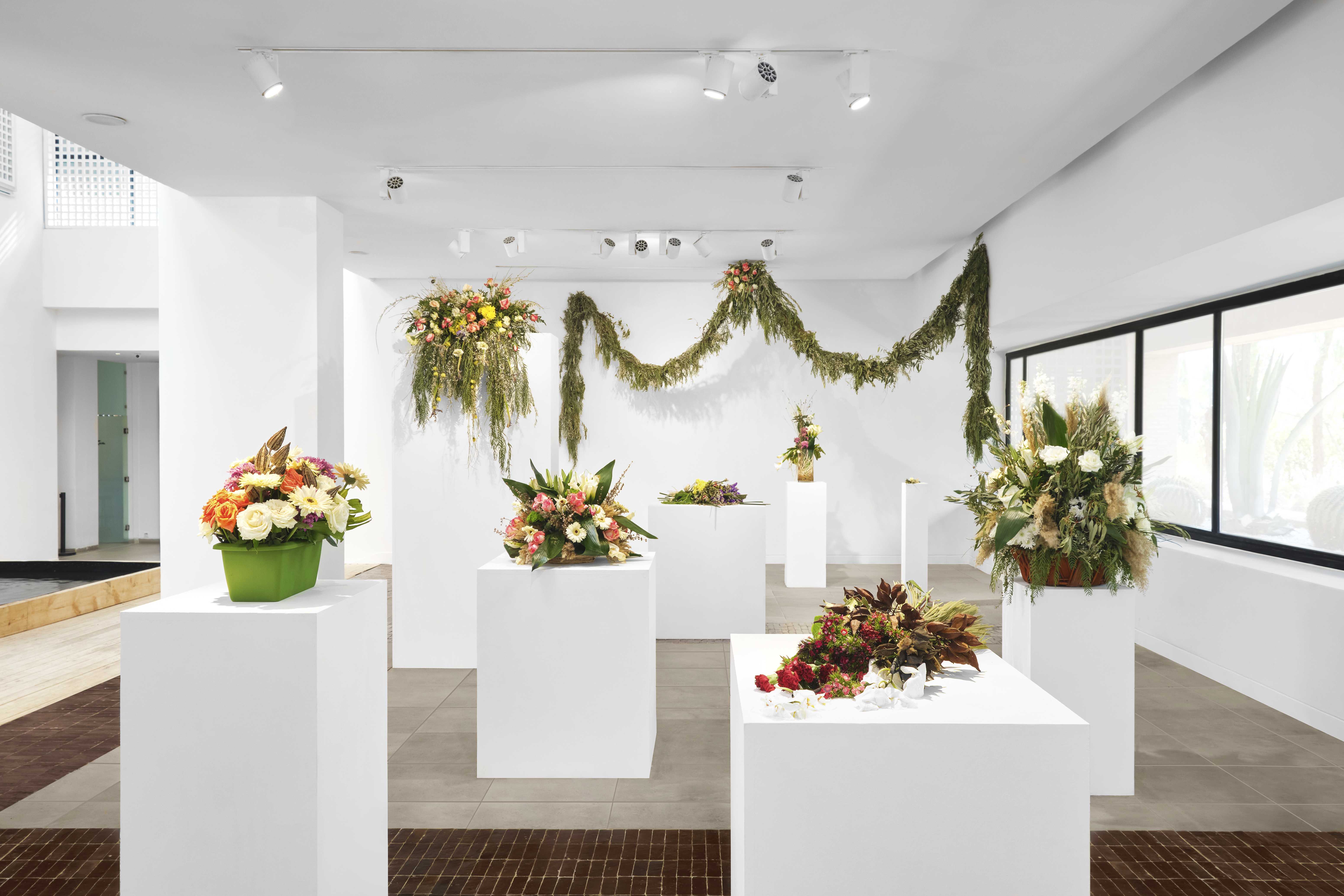 HAVE YOU SEEN A HORIZON LATELY?